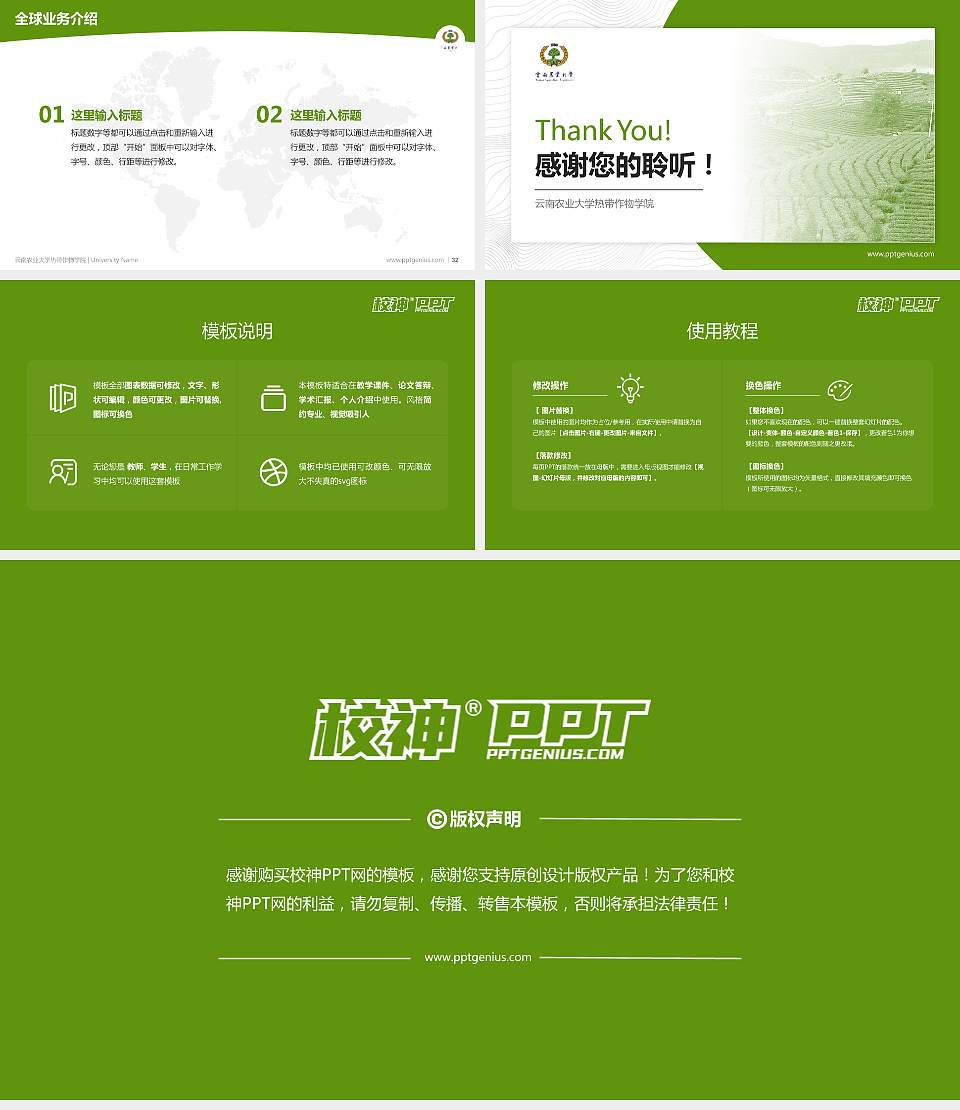 云南农业大学热带作物学院学术汇报/学术交流研讨会通用PPT模板下载16:9格式幻灯片预览图5