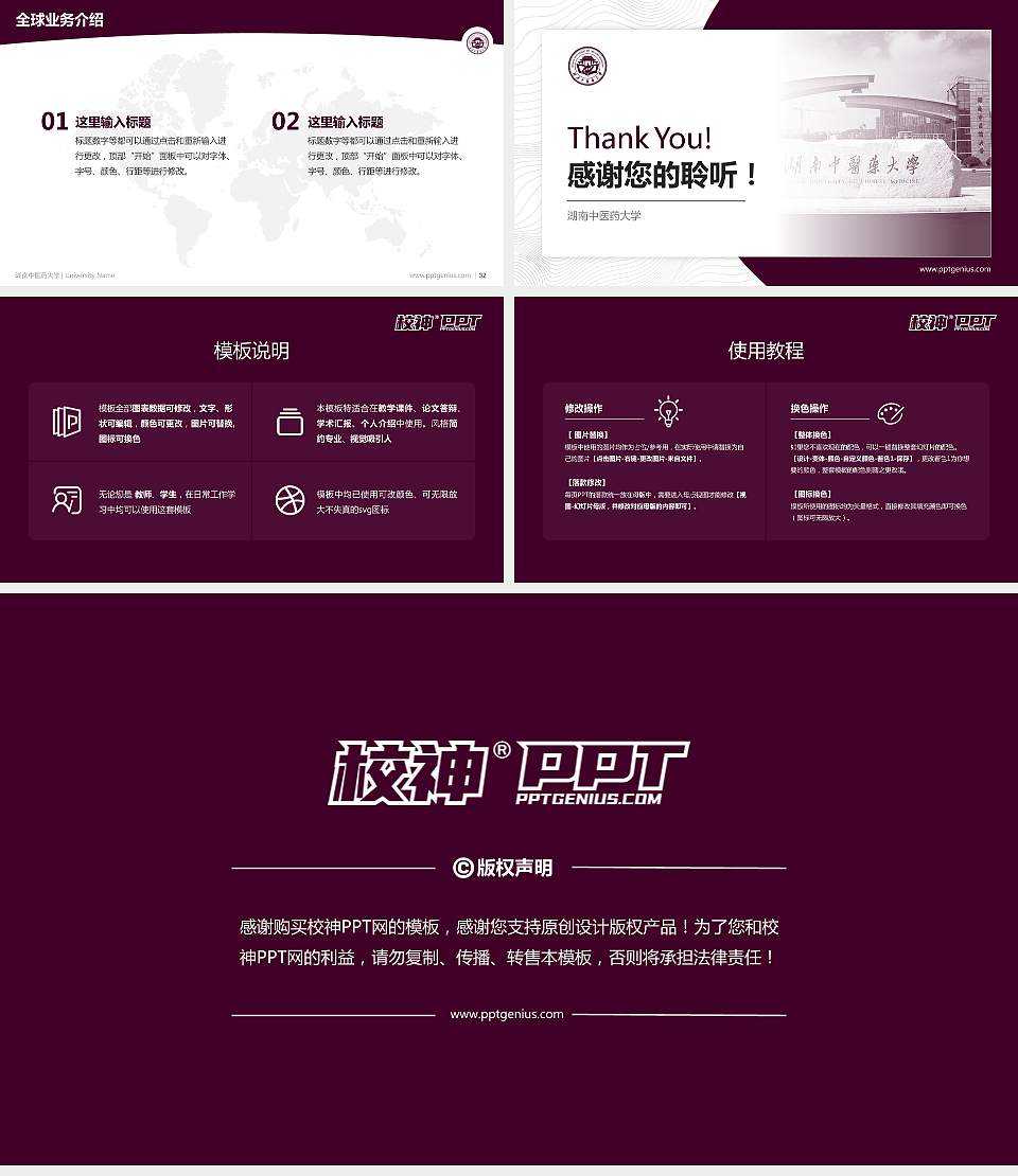 湖南中医药大学学术汇报/学术交流研讨会通用PPT模板下载16:9格式幻灯片预览图5