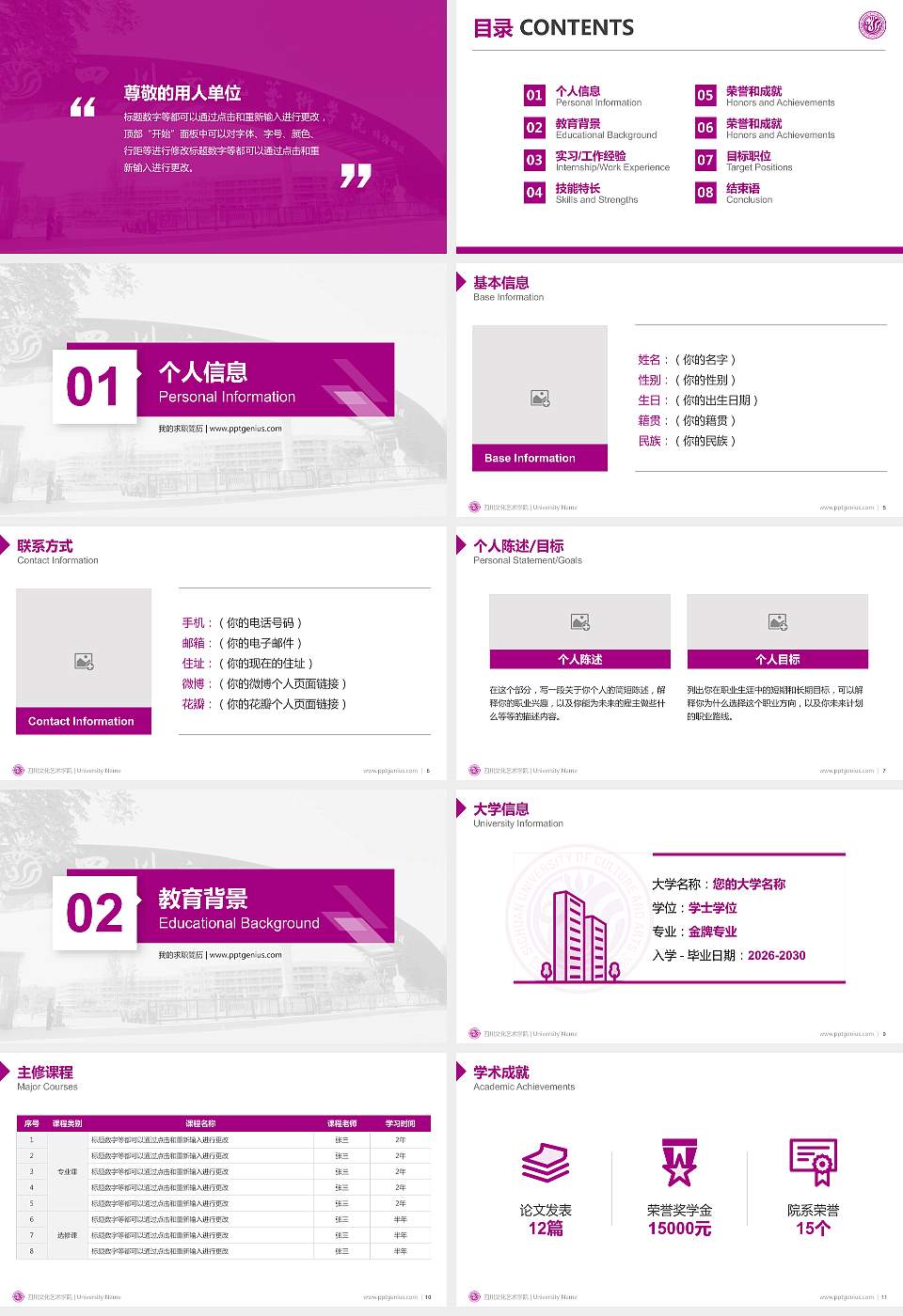 四川文化艺术学院教师/学生通用个人简历PPT模板下载16:9格式幻灯片预览图2