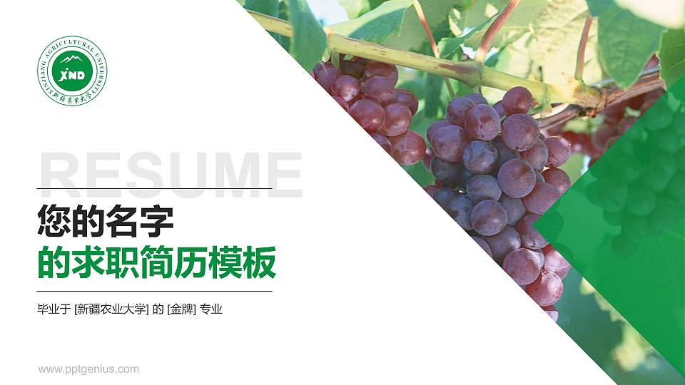 新疆农业大学教师/学生通用个人简历PPT模板下载16:9格式PPT封面效果预览图