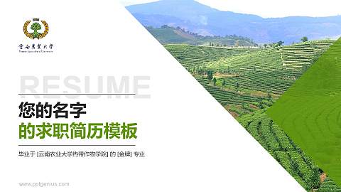 云南农业大学热带作物学院教师/学生通用个人简历PPT模板下载