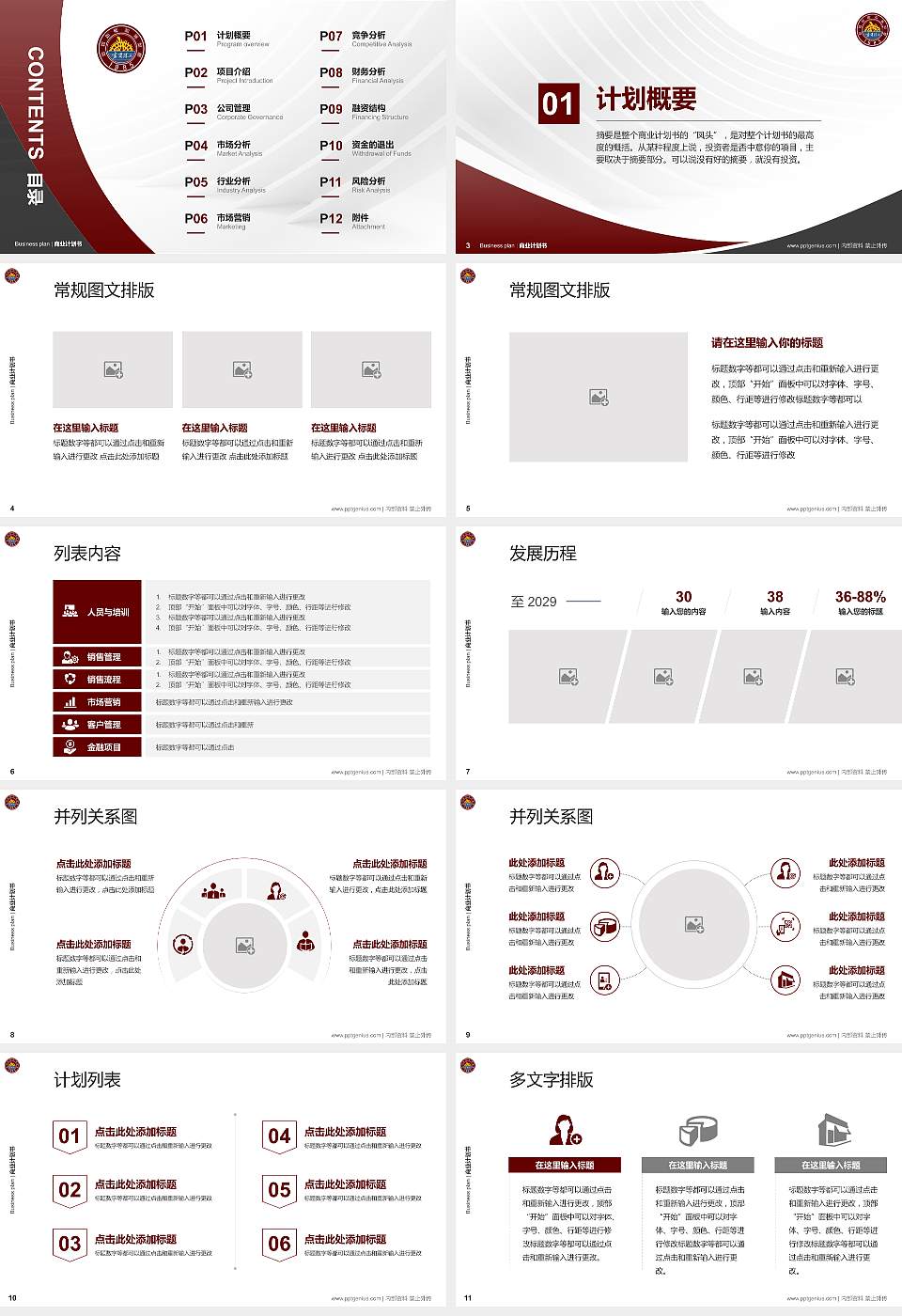 宁夏理工学院专用全国大学生互联网+创新创业大赛计划书/路演/网评PPT模板16:9格式幻灯片预览图2