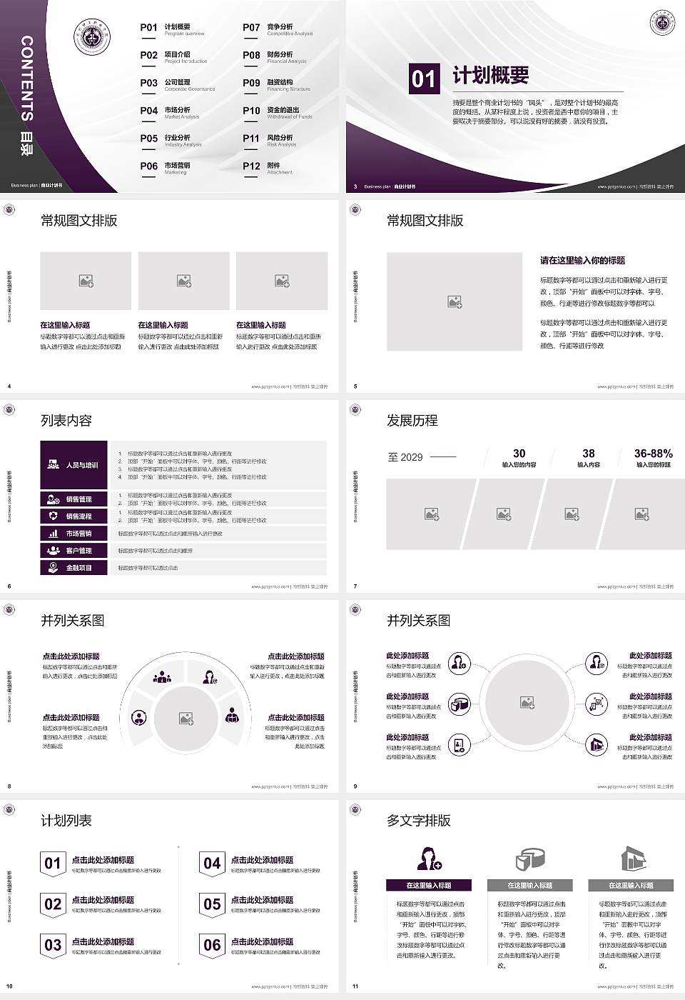荆州理工职业学院专用全国大学生互联网+创新创业大赛计划书/路演/网评PPT模板16:9格式幻灯片预览图2