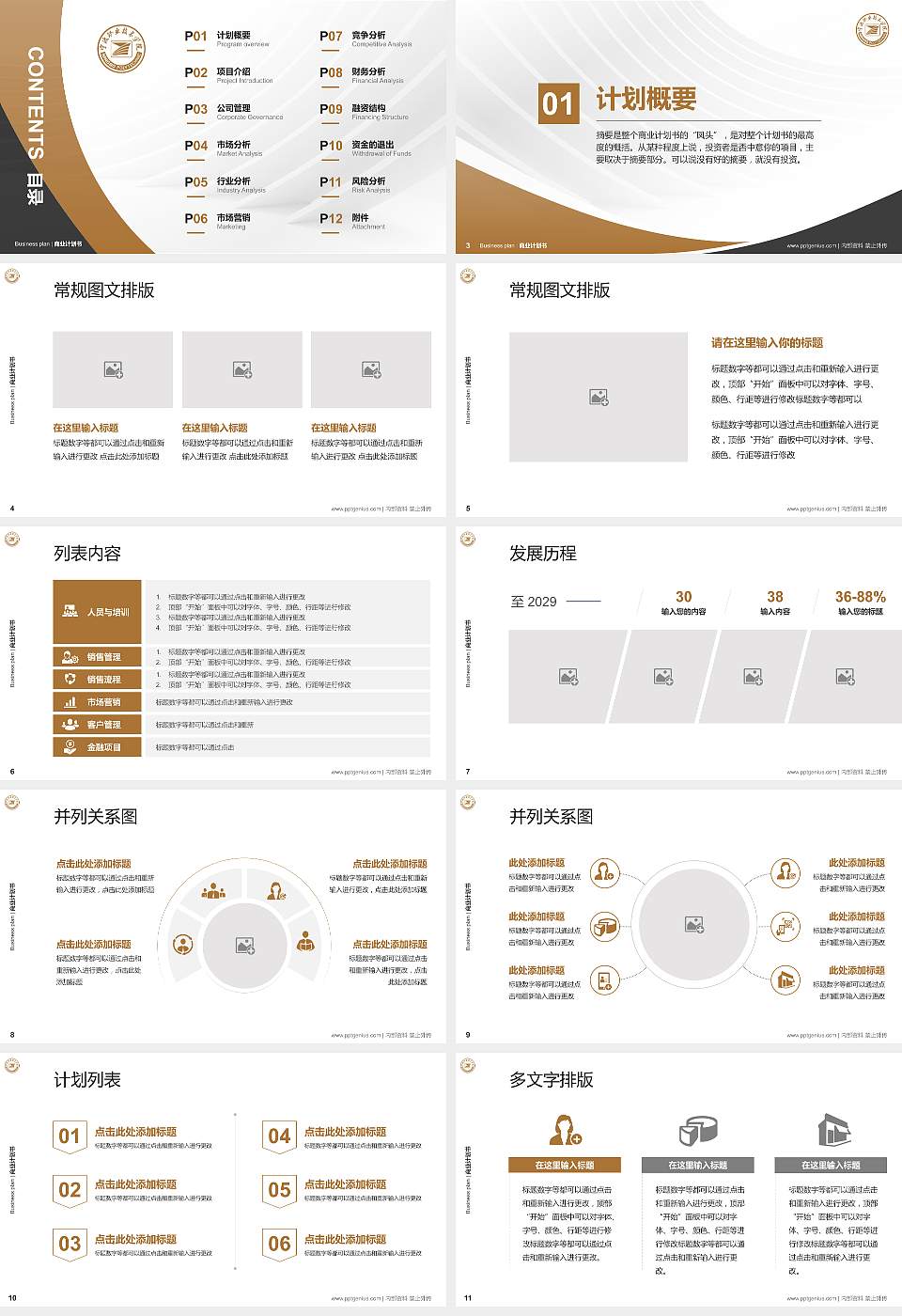 宁波职业技术学院专用全国大学生互联网+创新创业大赛计划书/路演/网评PPT模板16:9格式幻灯片预览图2