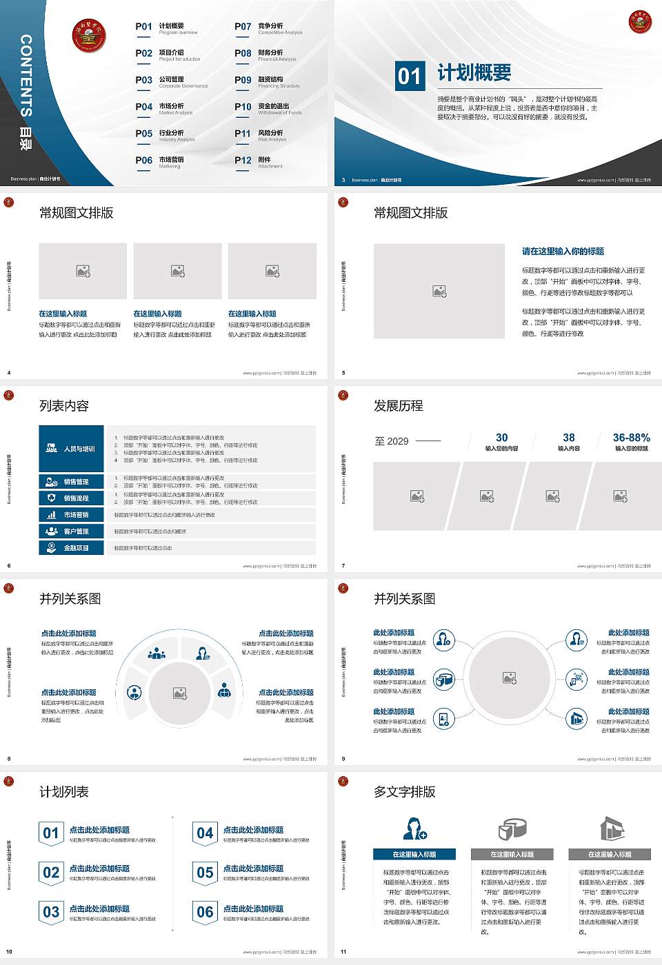 海南医学院专用全国大学生互联网+创新创业大赛计划书/路演/网评PPT模板16:9格式幻灯片预览图2