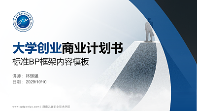 湖南九嶷职业技术学院专用全国大学生互联网+创新创业大赛计划书/路演/网评PPT模板