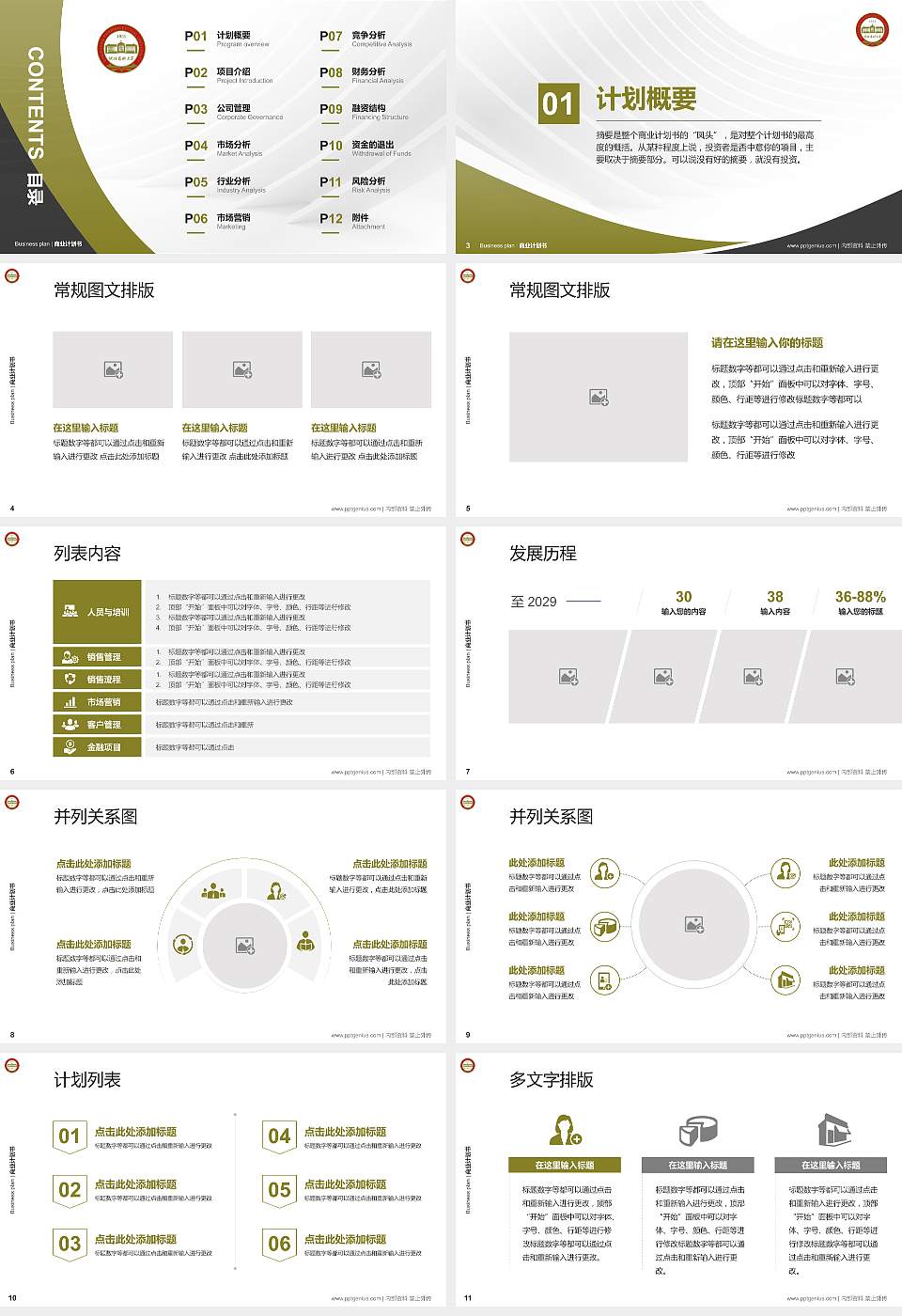 沈阳药科大学专用全国大学生互联网+创新创业大赛计划书/路演/网评PPT模板16:9格式幻灯片预览图2
