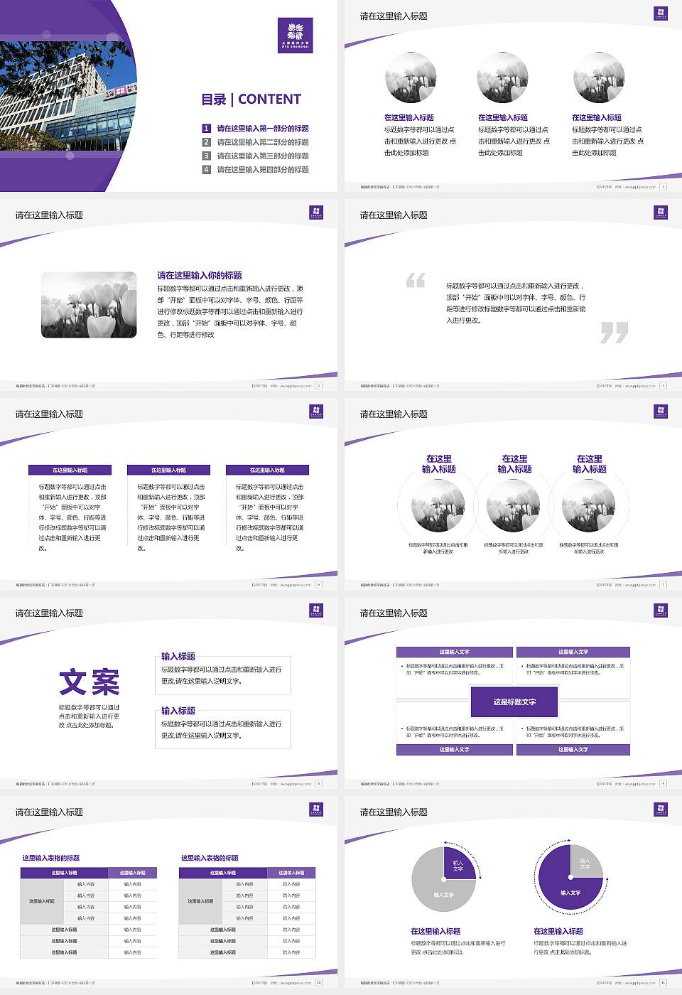 上海纽约大学毕业论文答辩PPT模板下载16:9格式幻灯片预览图2