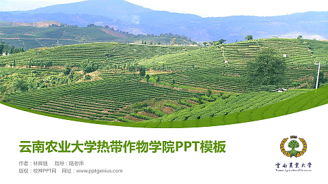 云南农业大学热带作物学院毕业论文答辩PPT模板下载