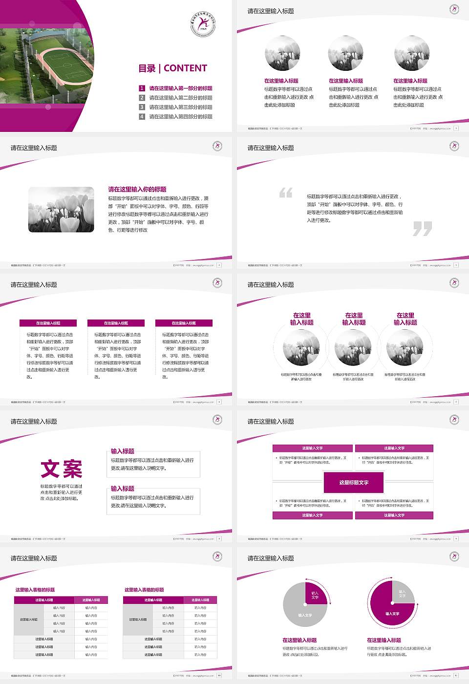 云南体育运动职业技术学院毕业论文答辩PPT模板下载16:9格式幻灯片预览图2