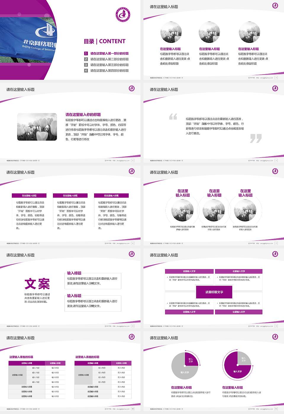 北京网络职业学院毕业论文答辩PPT模板下载16:9格式幻灯片预览图2