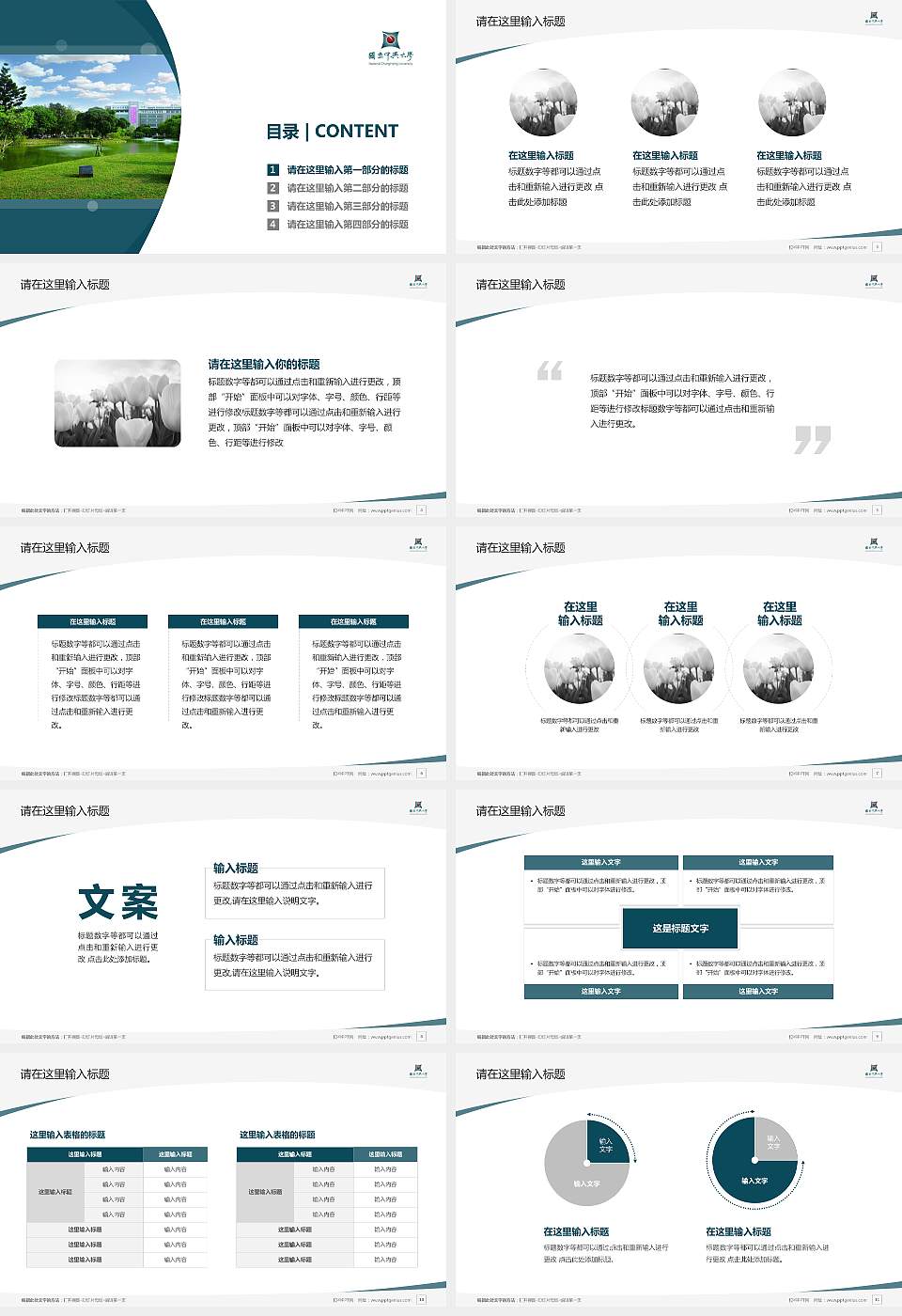 台湾中兴大学毕业论文答辩PPT模板下载16:9格式幻灯片预览图2