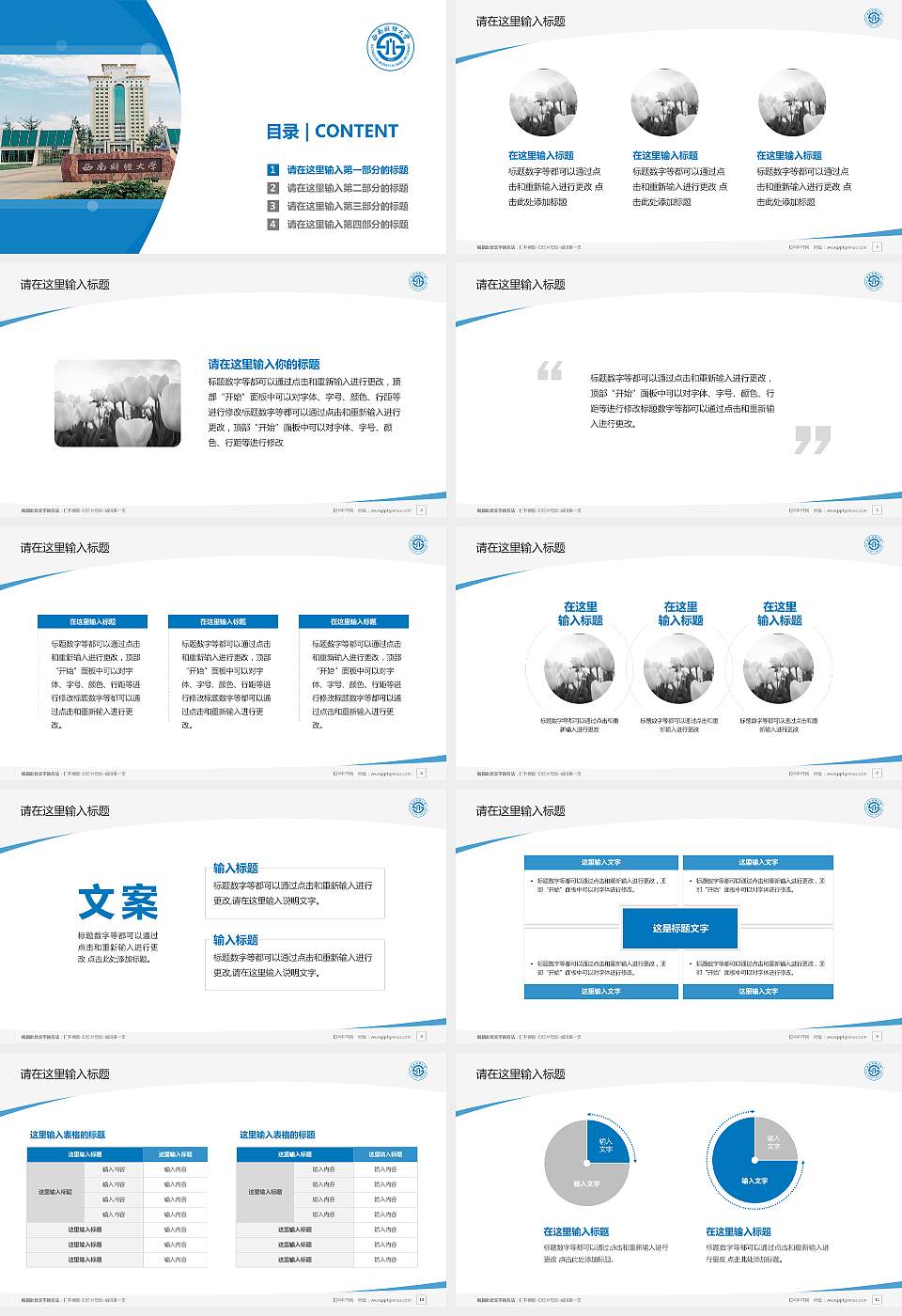 西南财经大学毕业论文答辩PPT模板下载16:9格式幻灯片预览图2