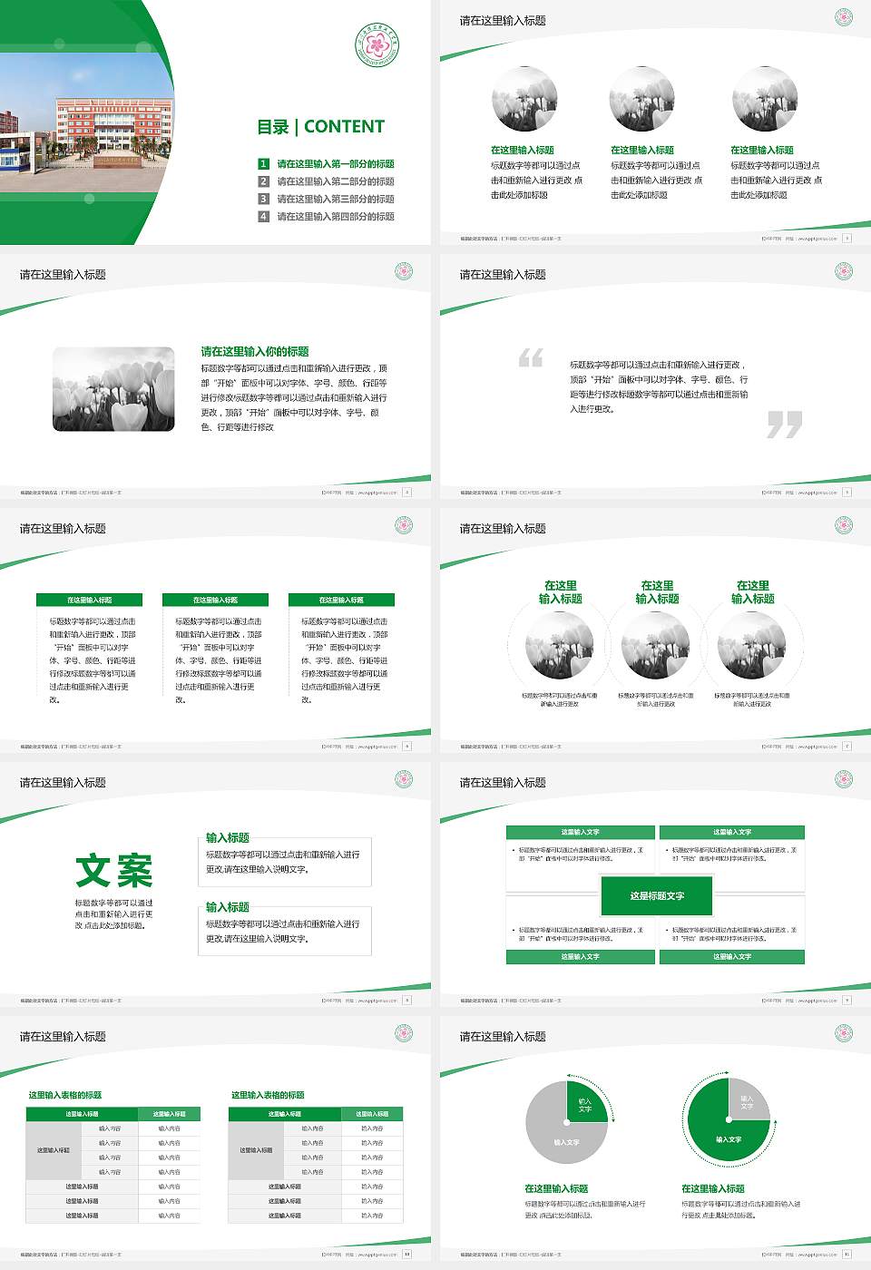 四川应用技术职业学院毕业论文答辩PPT模板下载16:9格式幻灯片预览图2