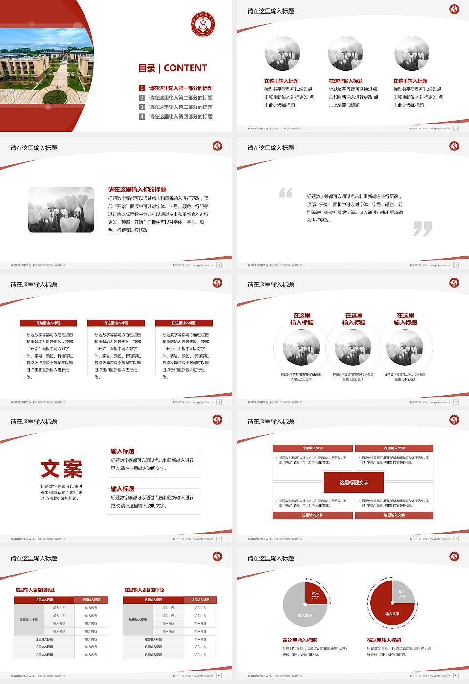 眉山药科职业学院毕业论文答辩PPT模板下载16:9格式幻灯片预览图2