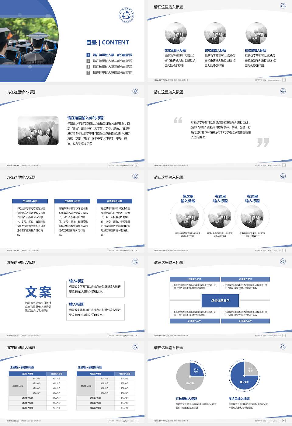 乐山职业技术学院毕业论文答辩PPT模板下载16:9格式幻灯片预览图2