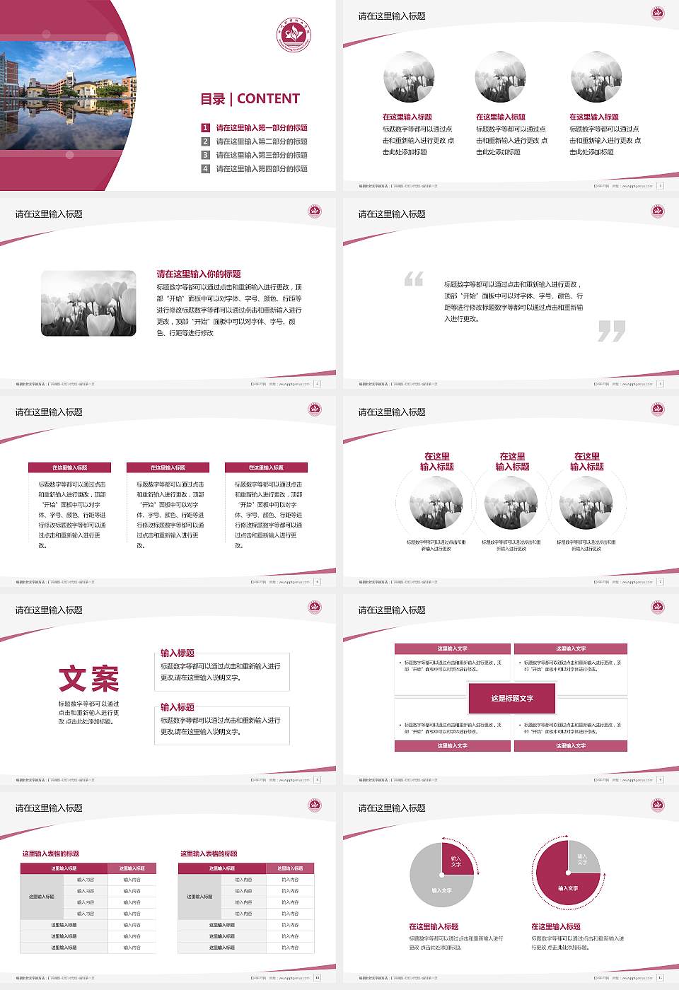 四川护理职业学院毕业论文答辩PPT模板下载16:9格式幻灯片预览图2