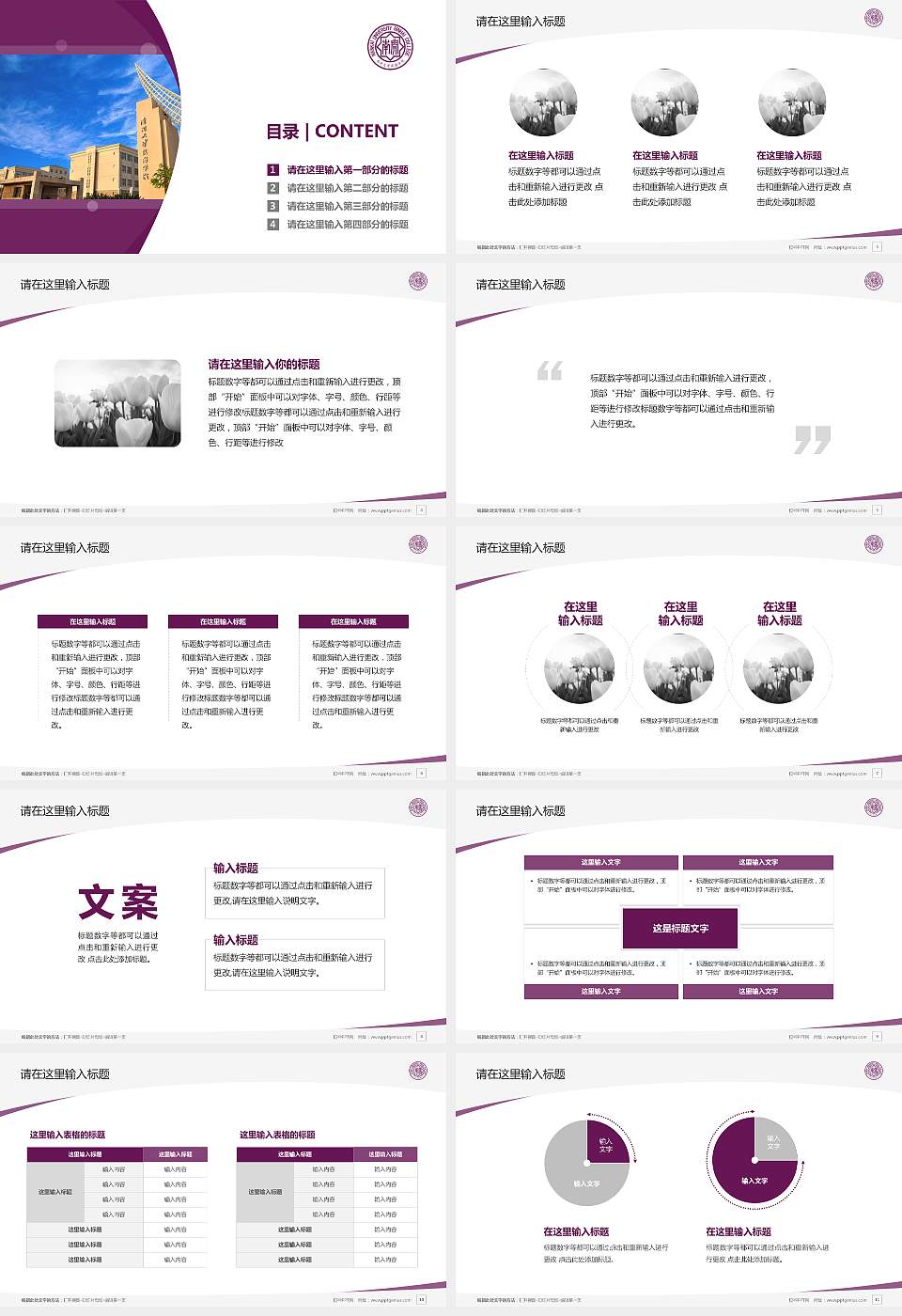 南开大学滨海学院毕业论文答辩PPT模板下载16:9格式幻灯片预览图2