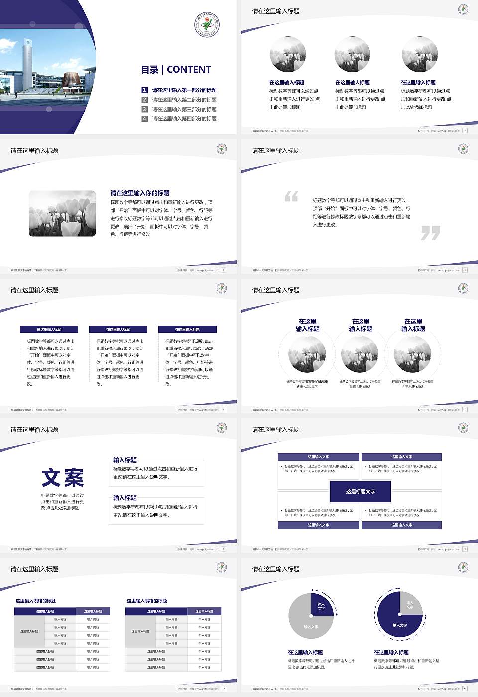 桐城师范高等专科学校毕业论文答辩PPT模板下载16:9格式幻灯片预览图2