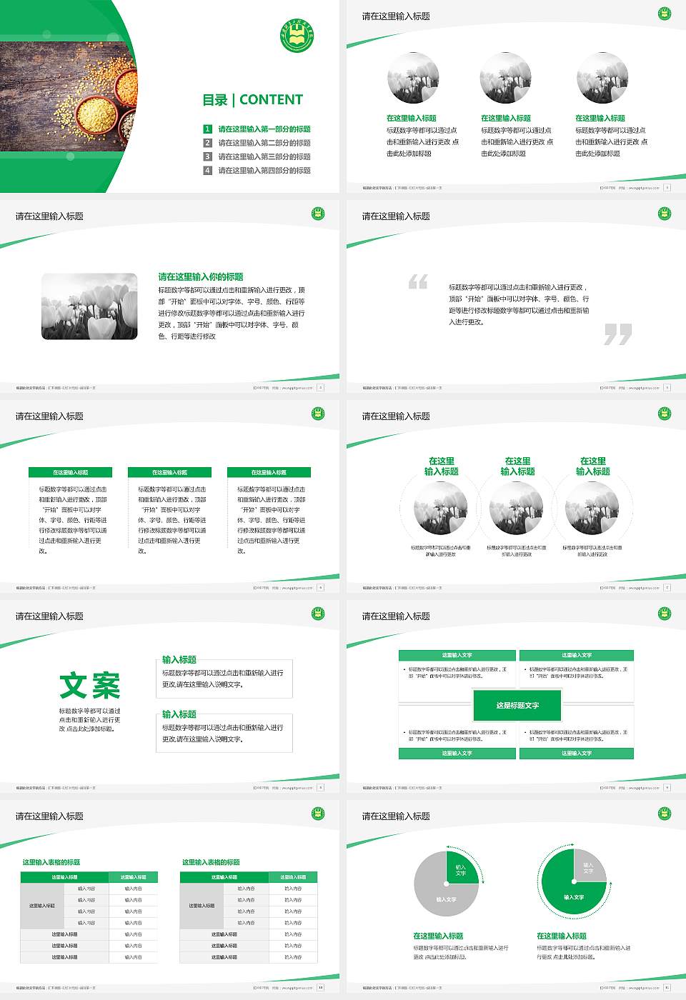 安徽粮食工程职业学院毕业论文答辩PPT模板下载16:9格式幻灯片预览图2