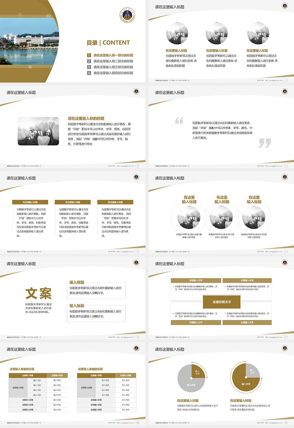 安徽师范大学毕业论文答辩PPT模板下载16:9格式幻灯片预览图2