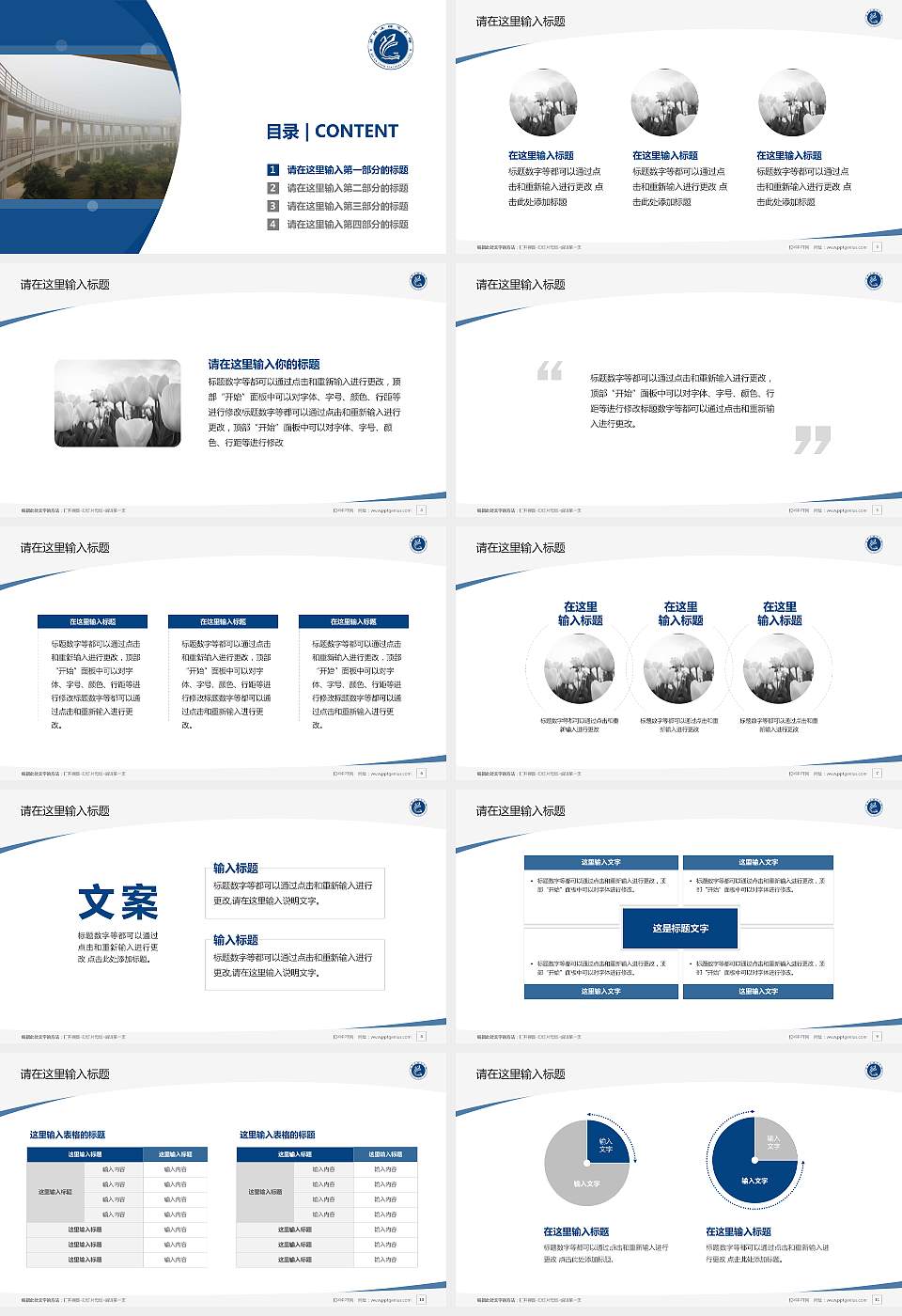 马鞍山师范高等专科学校毕业论文答辩PPT模板下载16:9格式幻灯片预览图2