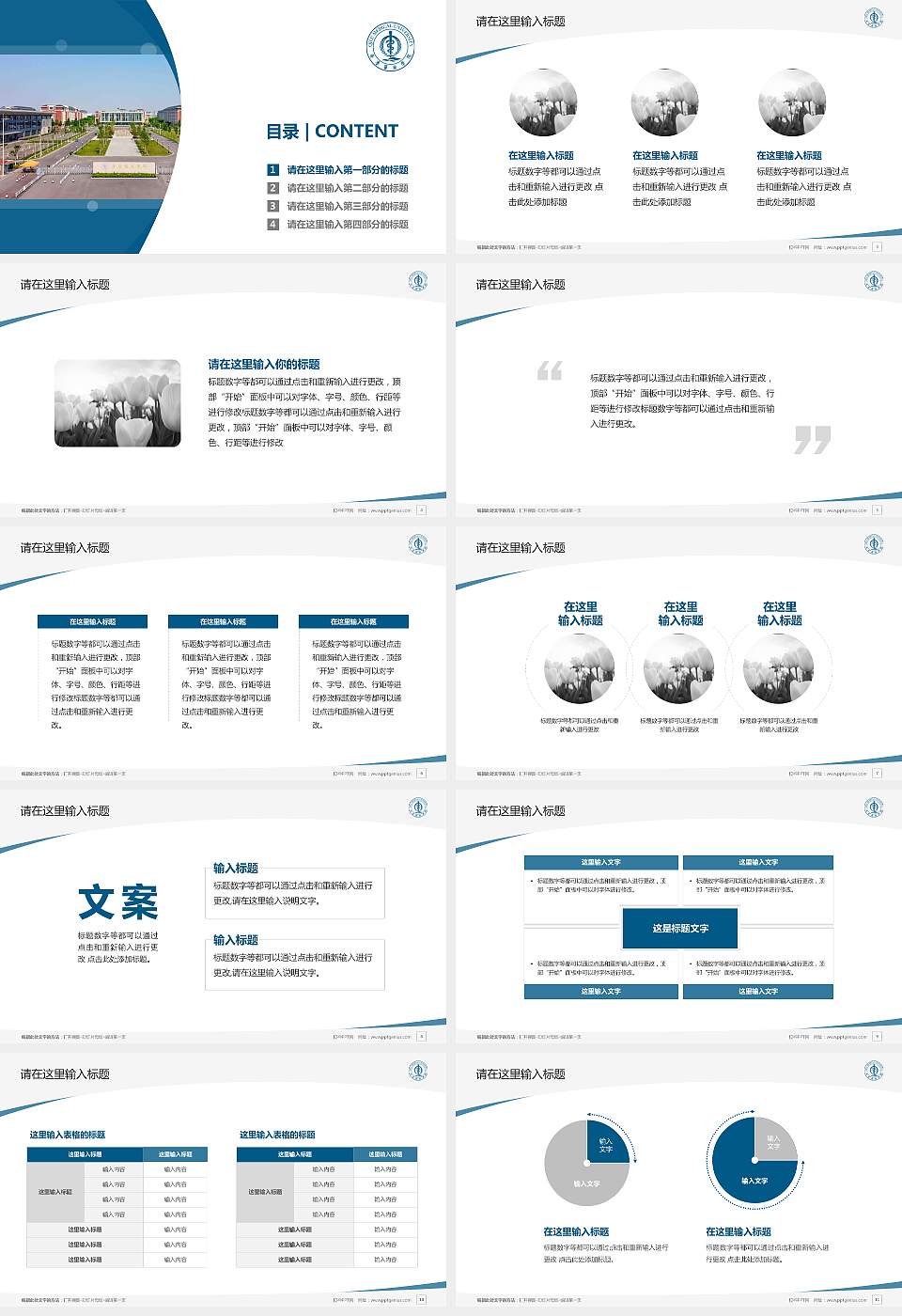 齐鲁医药学院毕业论文答辩PPT模板下载16:9格式幻灯片预览图2