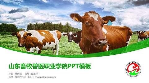 山东畜牧兽医职业学院毕业论文答辩PPT模板下载