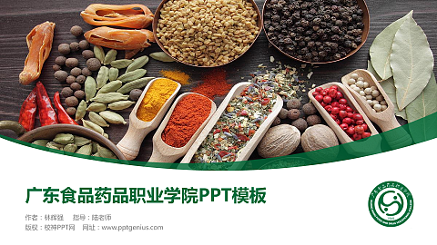 广东食品药品职业学院毕业论文答辩PPT模板下载