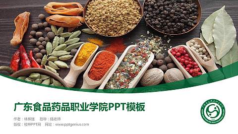 广东食品药品职业学院毕业论文答辩PPT模板下载