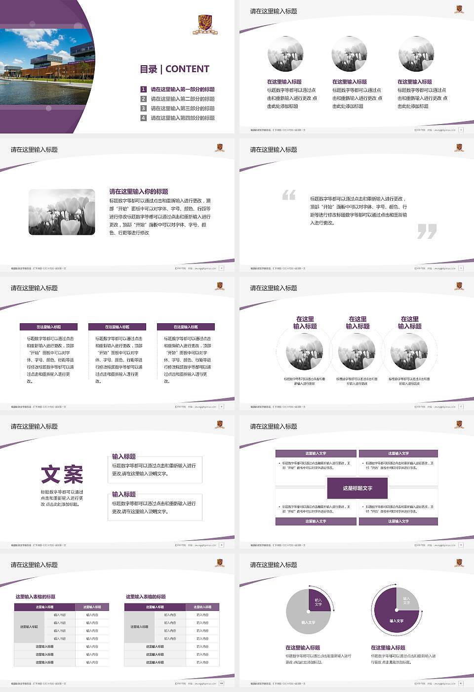 香港中文大学（深圳）毕业论文答辩PPT模板下载16:9格式幻灯片预览图2