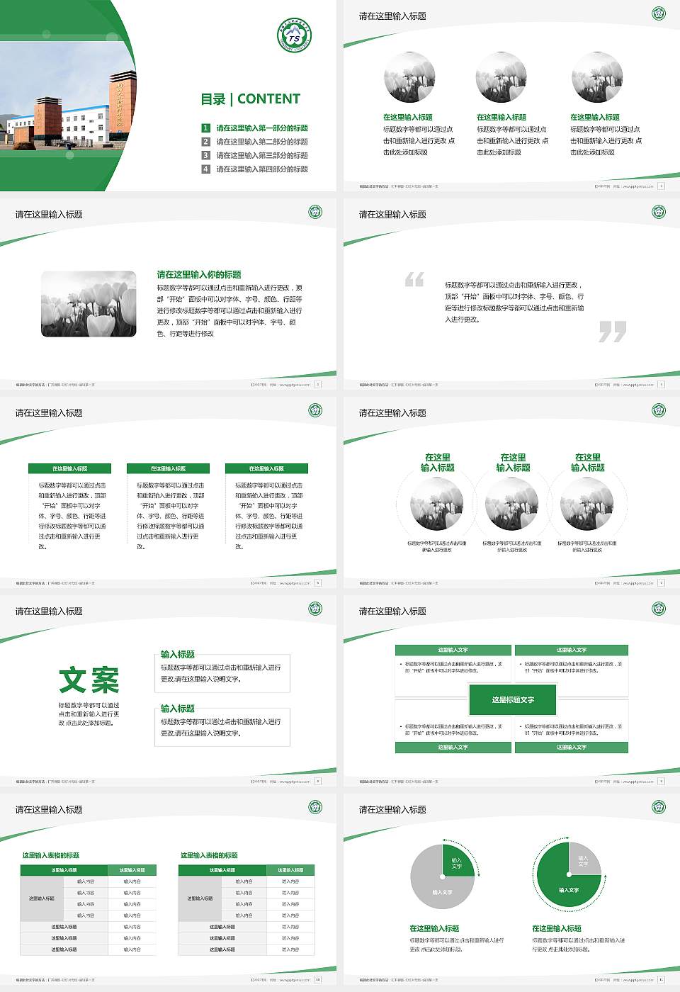 新疆天山职业技术大学毕业论文答辩PPT模板下载16:9格式幻灯片预览图2