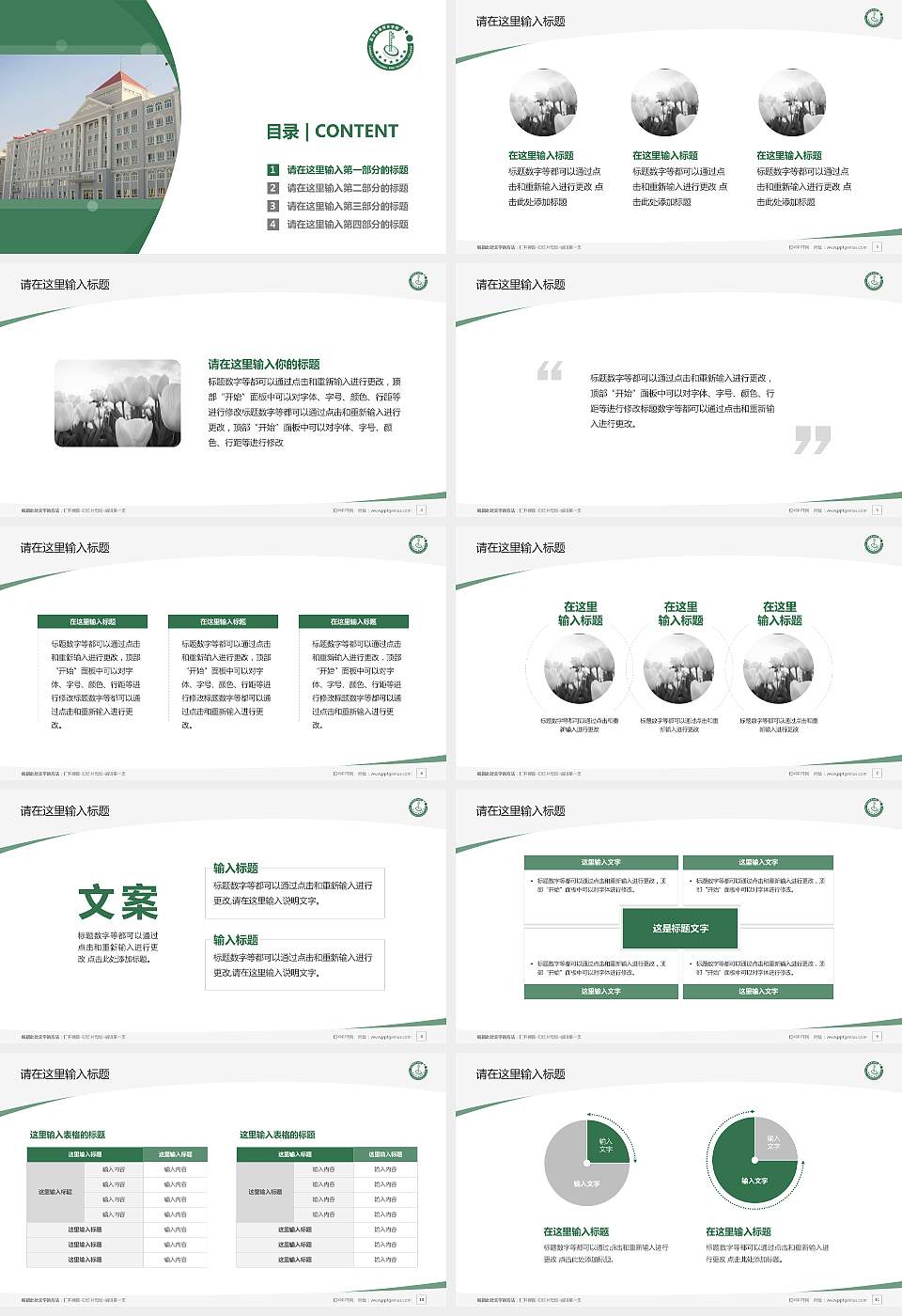 昌吉职业技术学院毕业论文答辩PPT模板下载16:9格式幻灯片预览图2