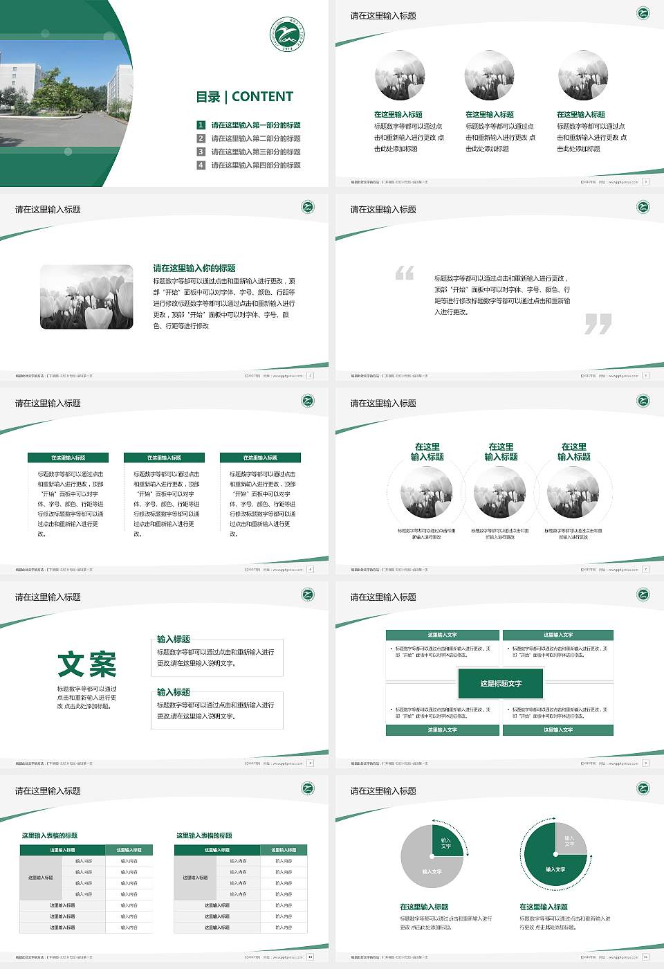 新疆应用职业技术学院毕业论文答辩PPT模板下载16:9格式幻灯片预览图2