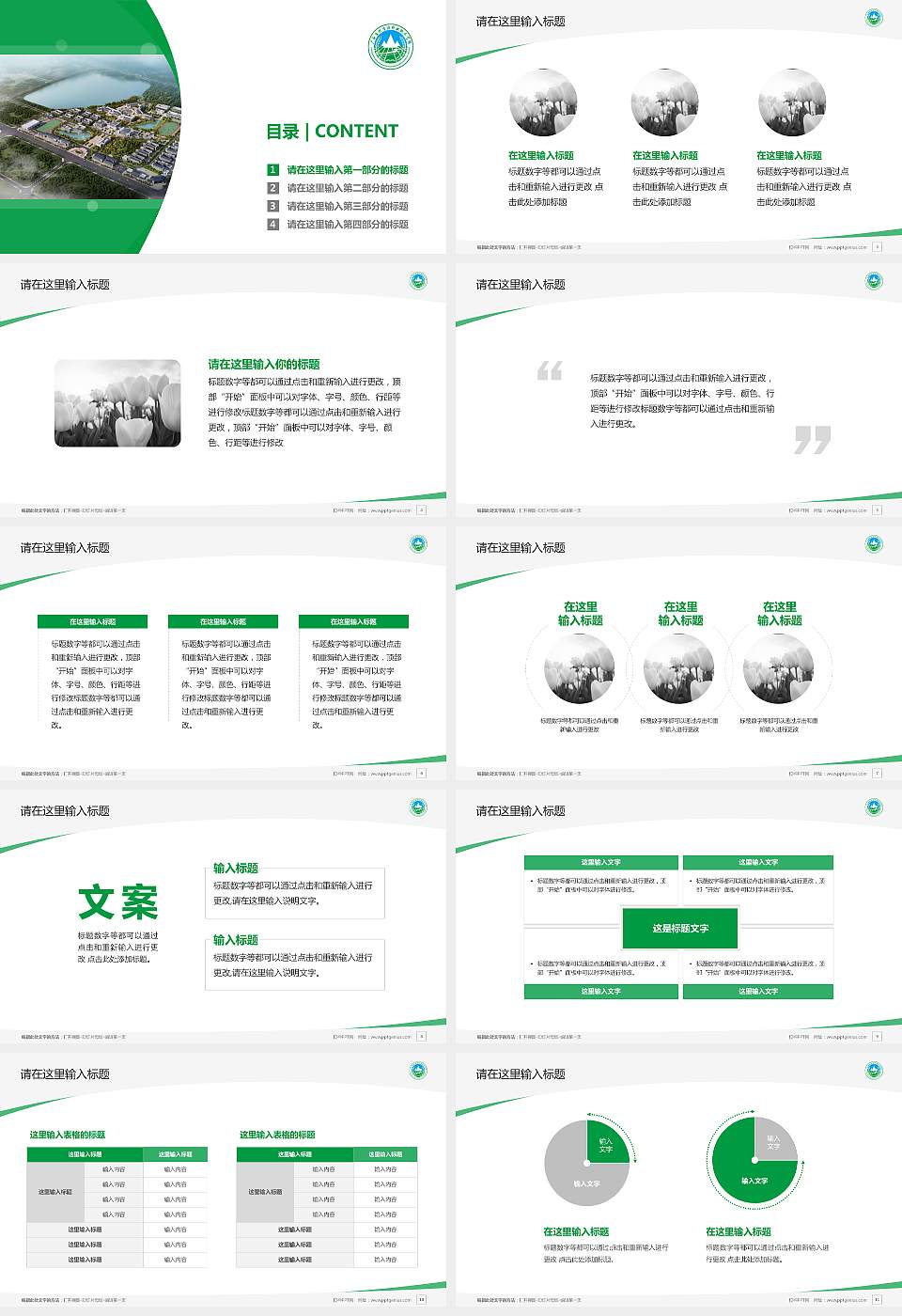 广西自然资源职业技术学院毕业论文答辩PPT模板下载16:9格式幻灯片预览图2