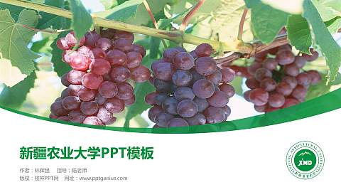 新疆农业大学毕业论文答辩PPT模板下载