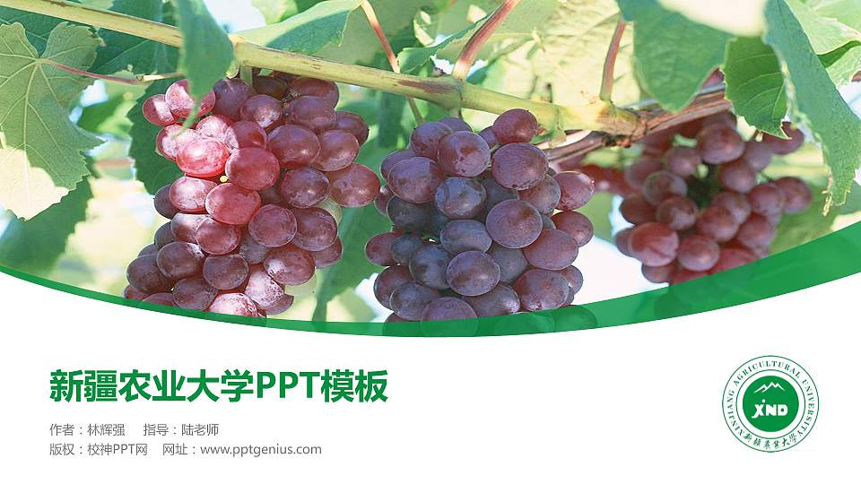 新疆农业大学毕业论文答辩PPT模板下载16:9格式PPT封面效果预览图