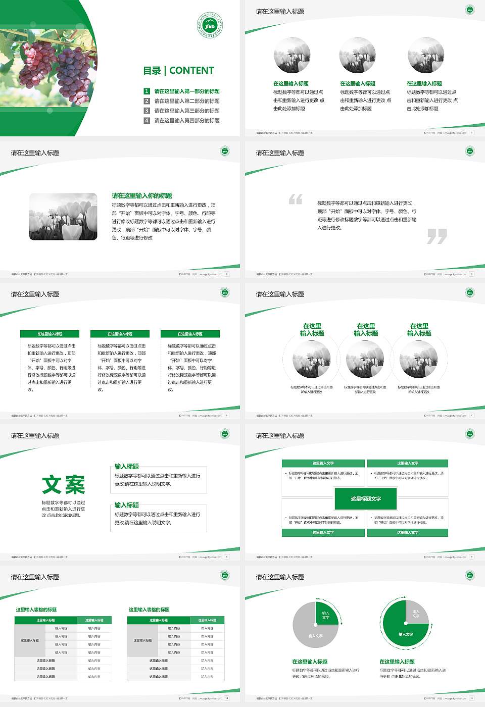 新疆农业大学毕业论文答辩PPT模板下载16:9格式幻灯片预览图2