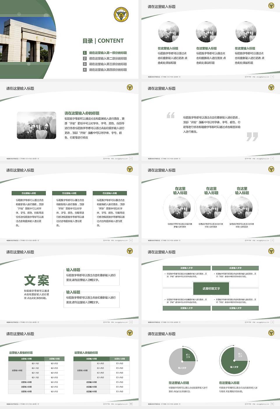 东南大学毕业论文答辩PPT模板下载16:9格式幻灯片预览图2