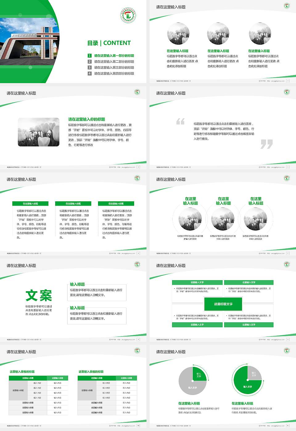 石河子工程职业技术学院毕业论文答辩PPT模板下载16:9格式幻灯片预览图2