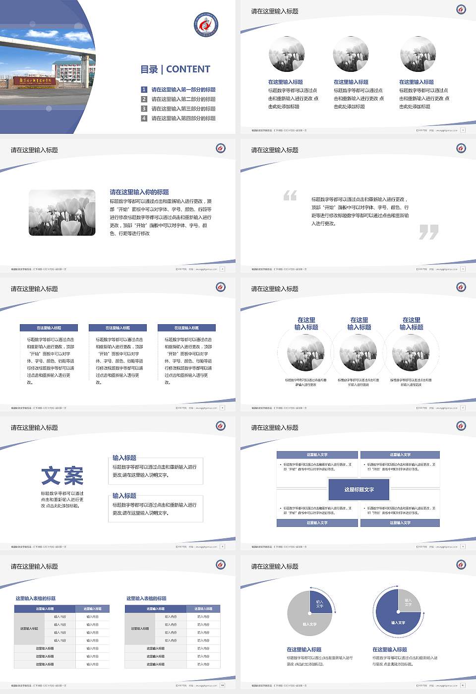 南京化工职业技术学院毕业论文答辩PPT模板下载16:9格式幻灯片预览图2