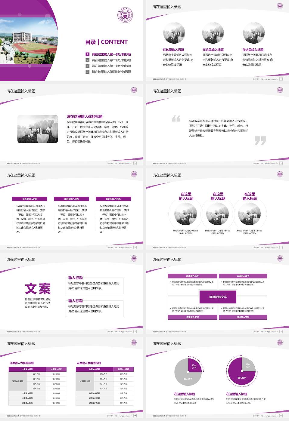 南京理工大学毕业论文答辩PPT模板下载16:9格式幻灯片预览图2