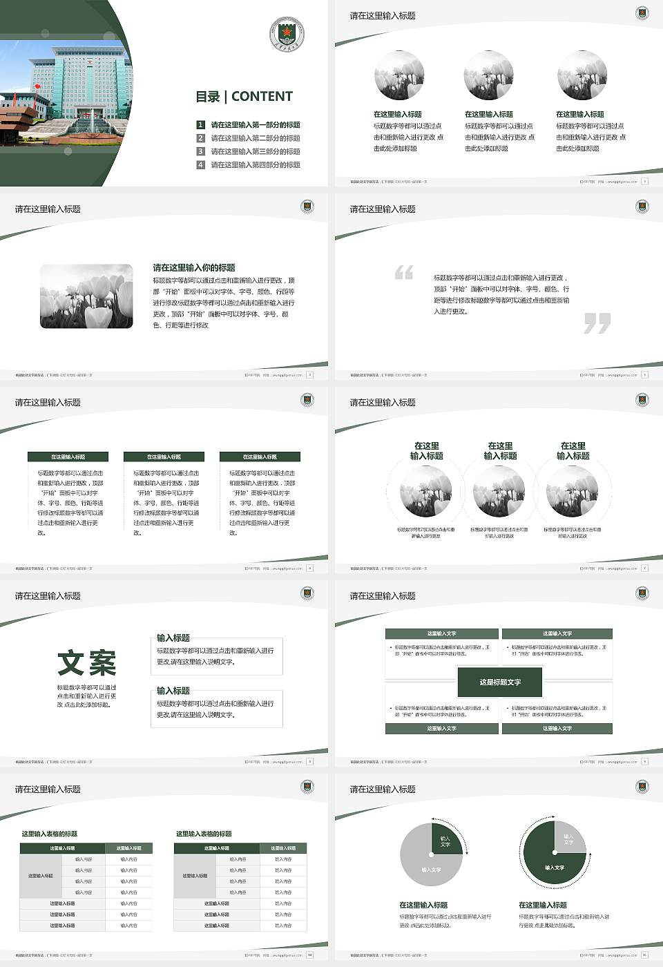 陆军工程大学毕业论文答辩PPT模板下载16:9格式幻灯片预览图2