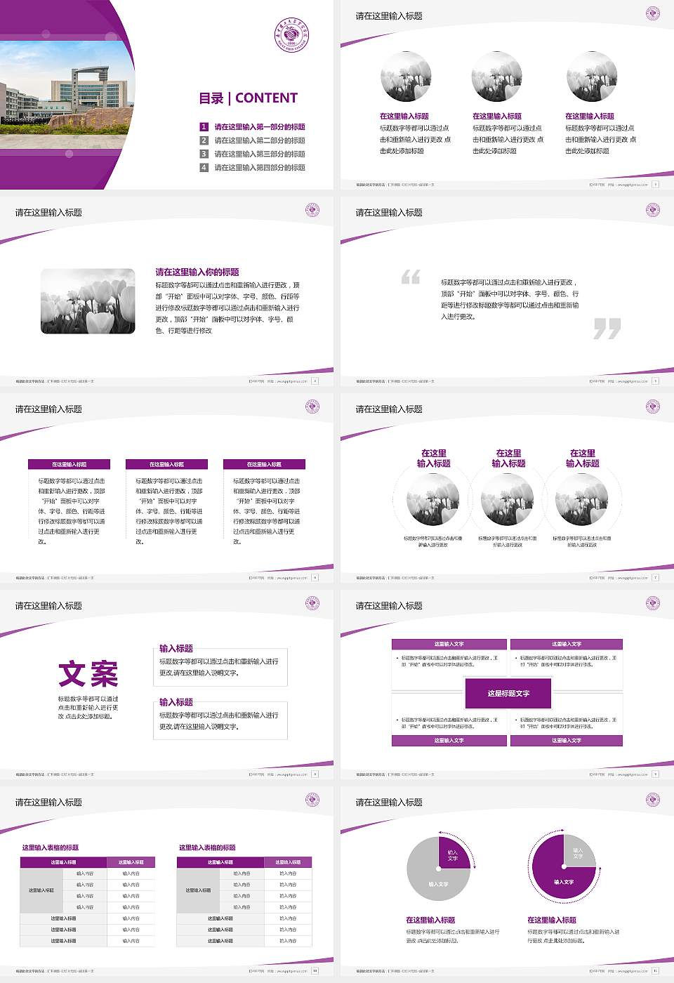 南京理工大学紫金学院毕业论文答辩PPT模板下载16:9格式幻灯片预览图2