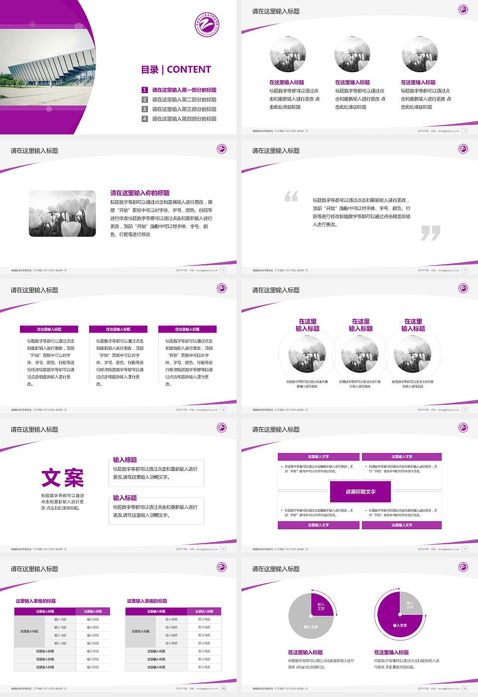 南京理工大学泰州科技学院毕业论文答辩PPT模板下载16:9格式幻灯片预览图2