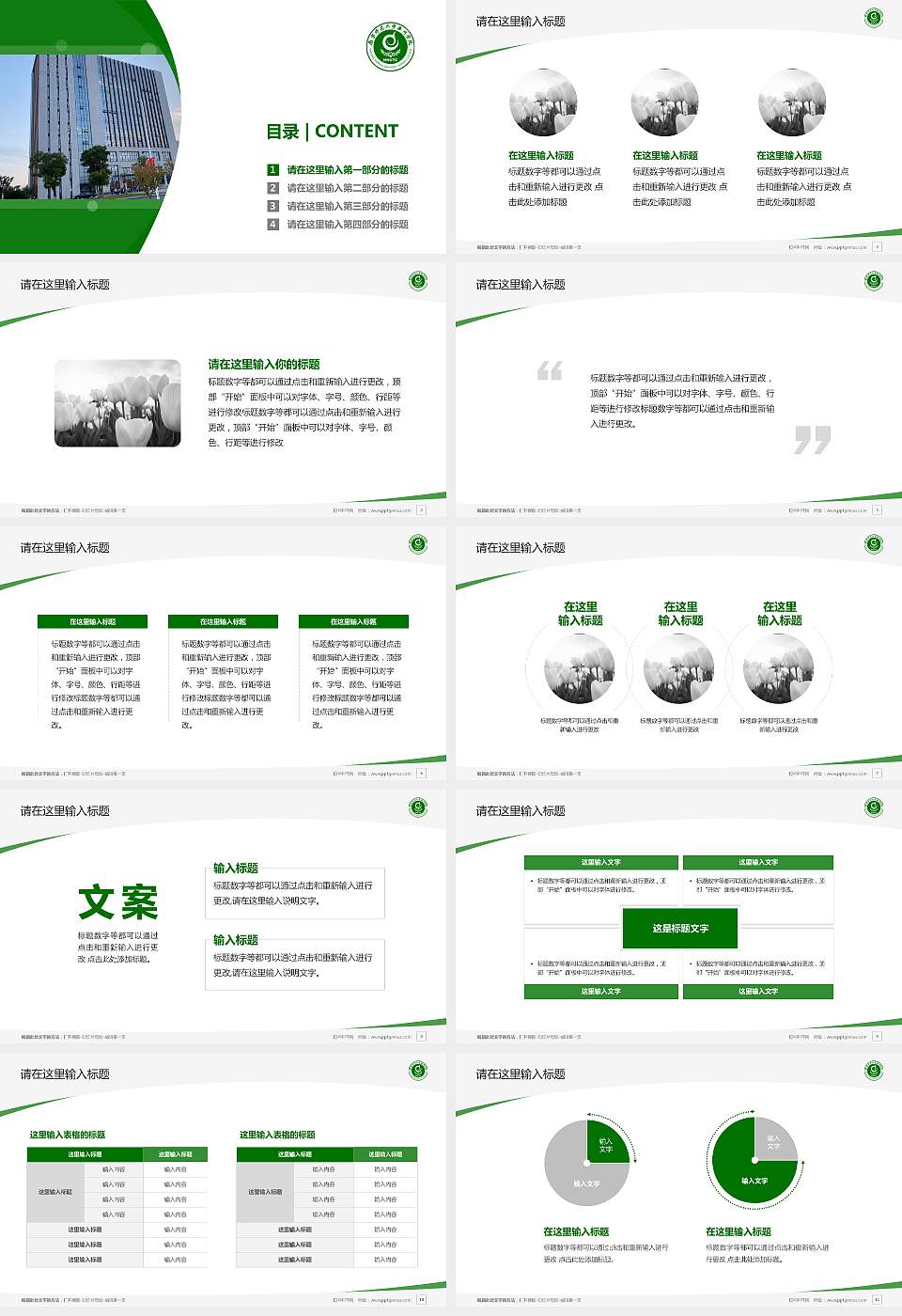 南京师范大学泰州学院毕业论文答辩PPT模板下载16:9格式幻灯片预览图2