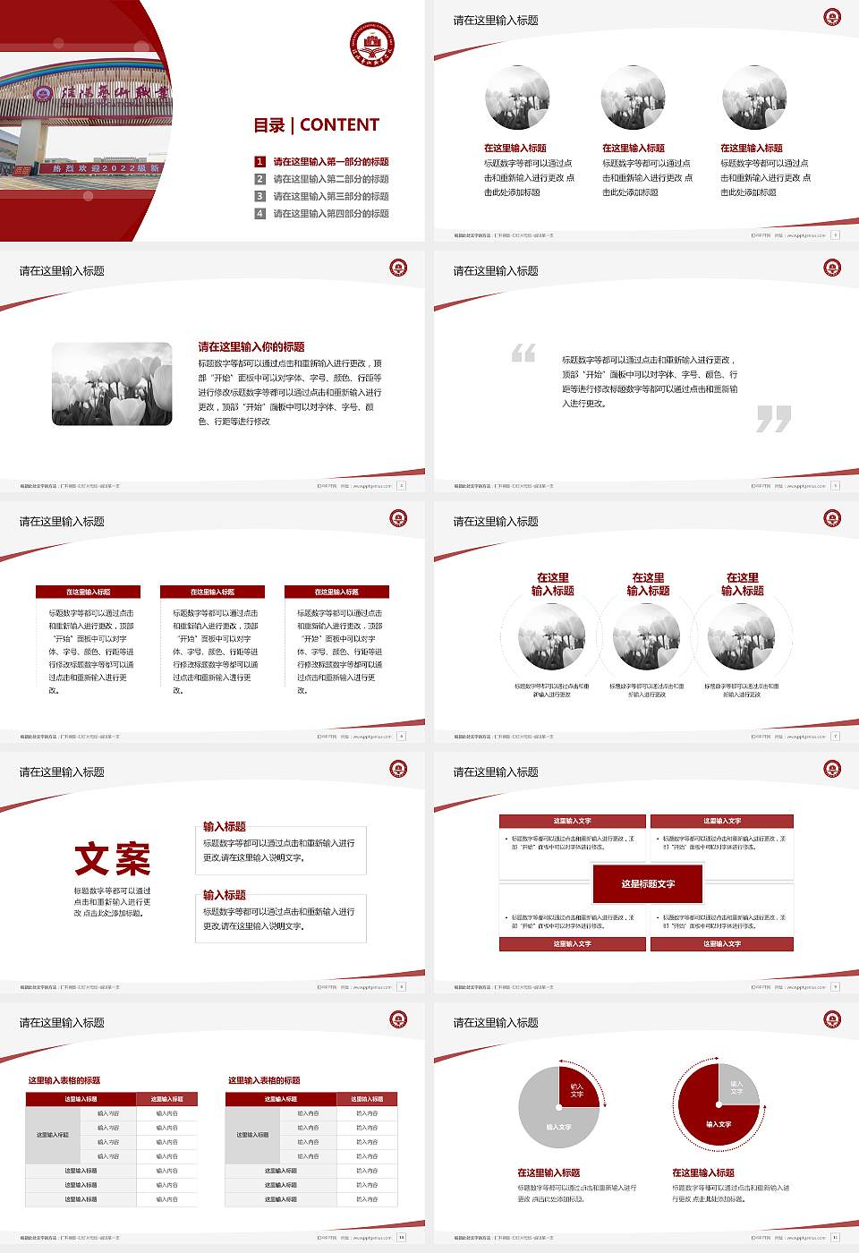 信阳艺术职业学院毕业论文答辩PPT模板下载16:9格式幻灯片预览图2