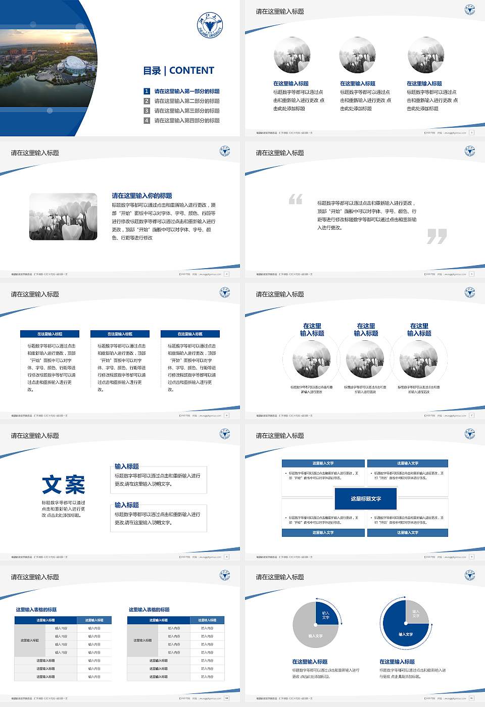 浙江大学毕业论文答辩PPT模板下载16:9格式幻灯片预览图2