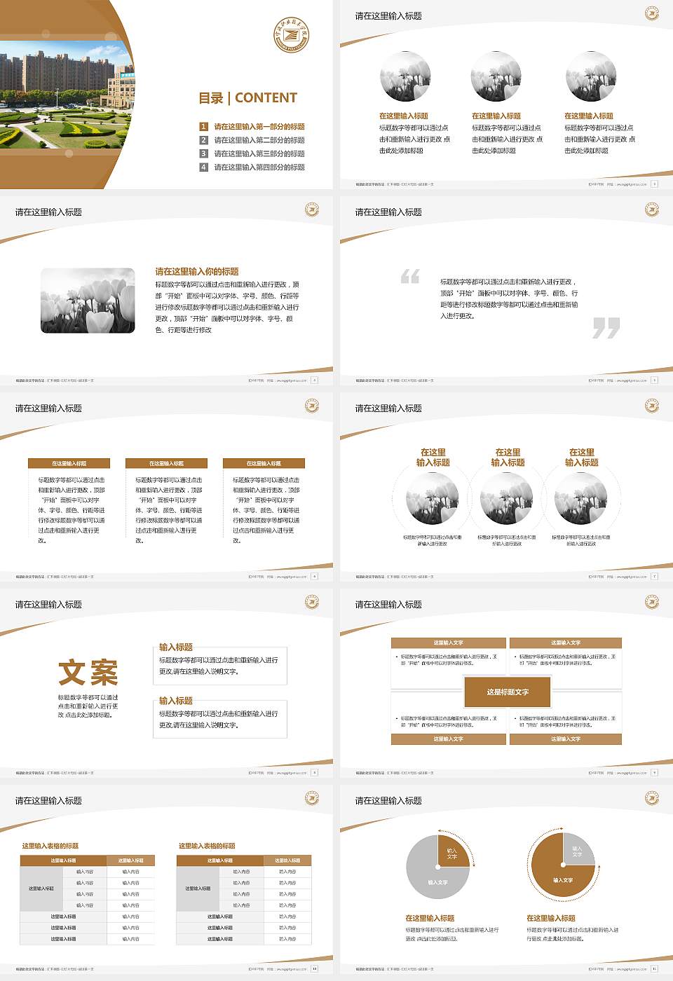 宁波职业技术学院毕业论文答辩PPT模板下载16:9格式幻灯片预览图2