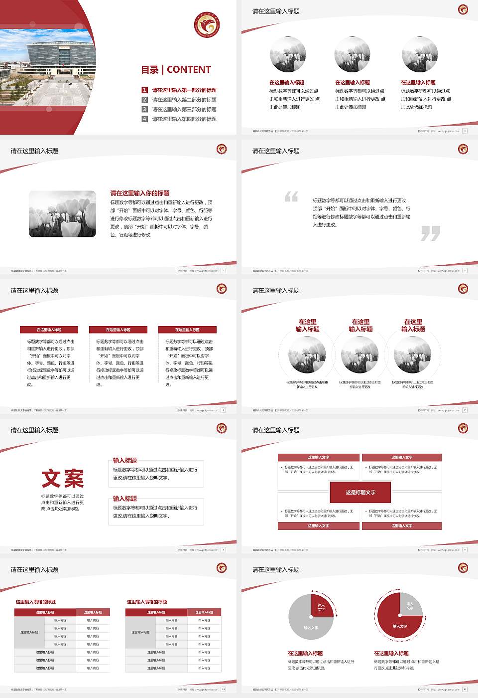 兰考三农职业学院毕业论文答辩PPT模板下载16:9格式幻灯片预览图2